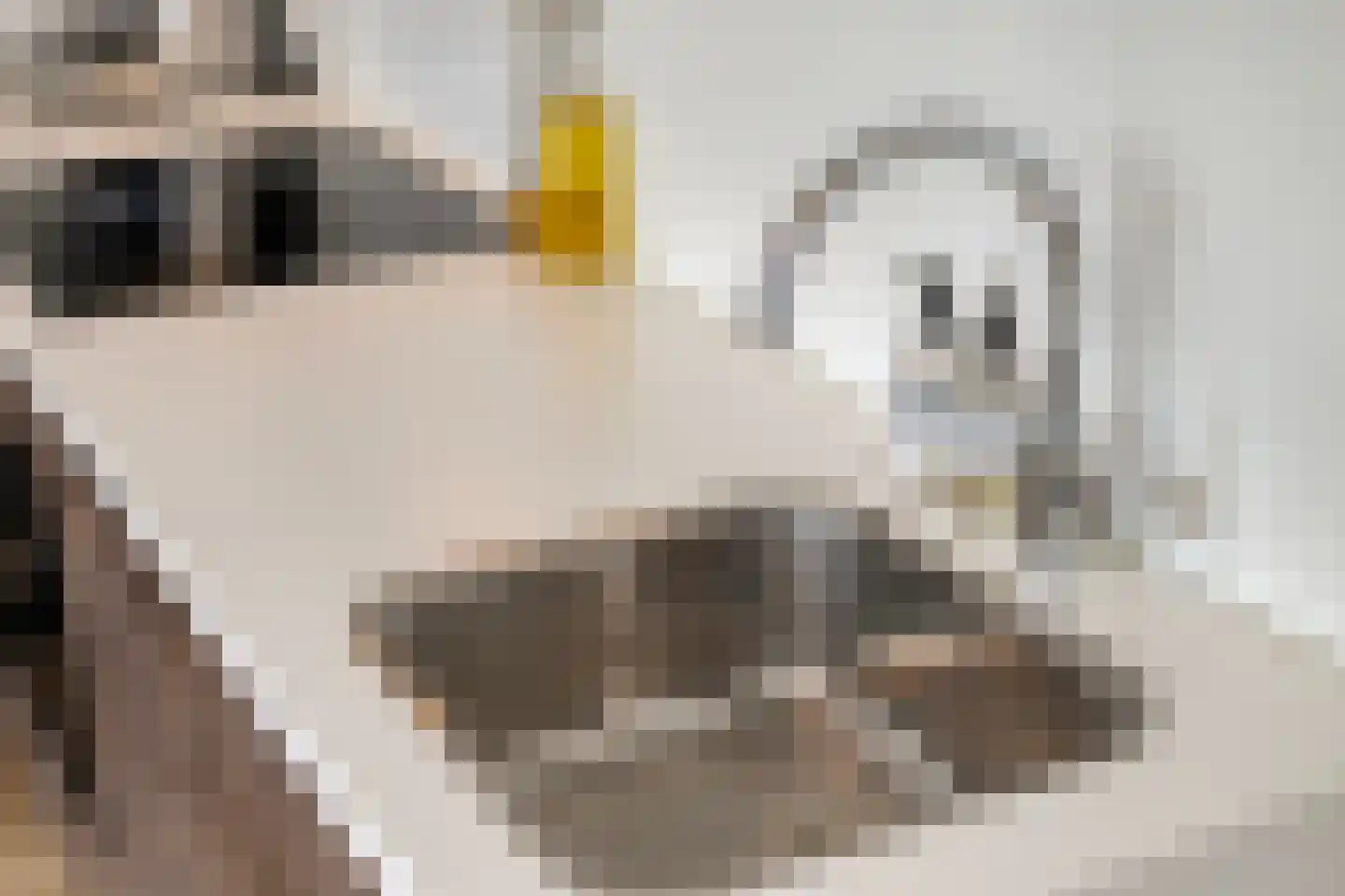 Willem van Lutterveldstraat 1 a Ammerstol thumbnail 10