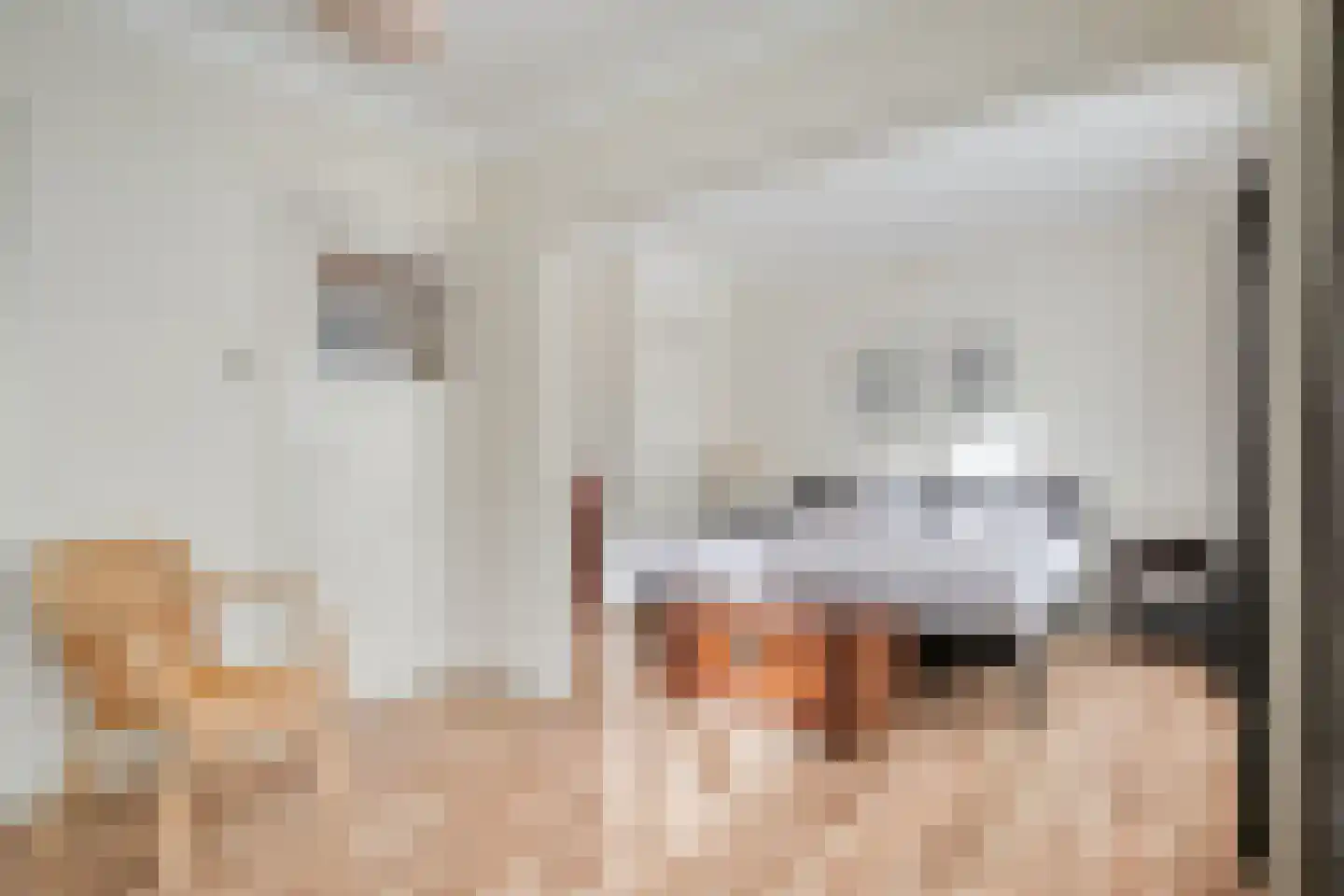 Willem van Millenberchstraat 18 Eindhoven thumbnail 17