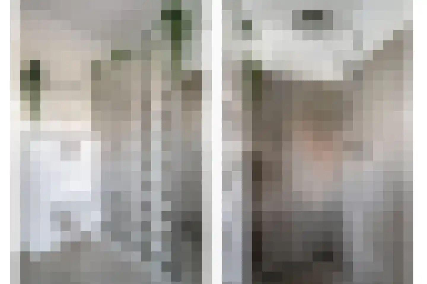 Willem van Millenberchstraat 18 Eindhoven thumbnail 20
