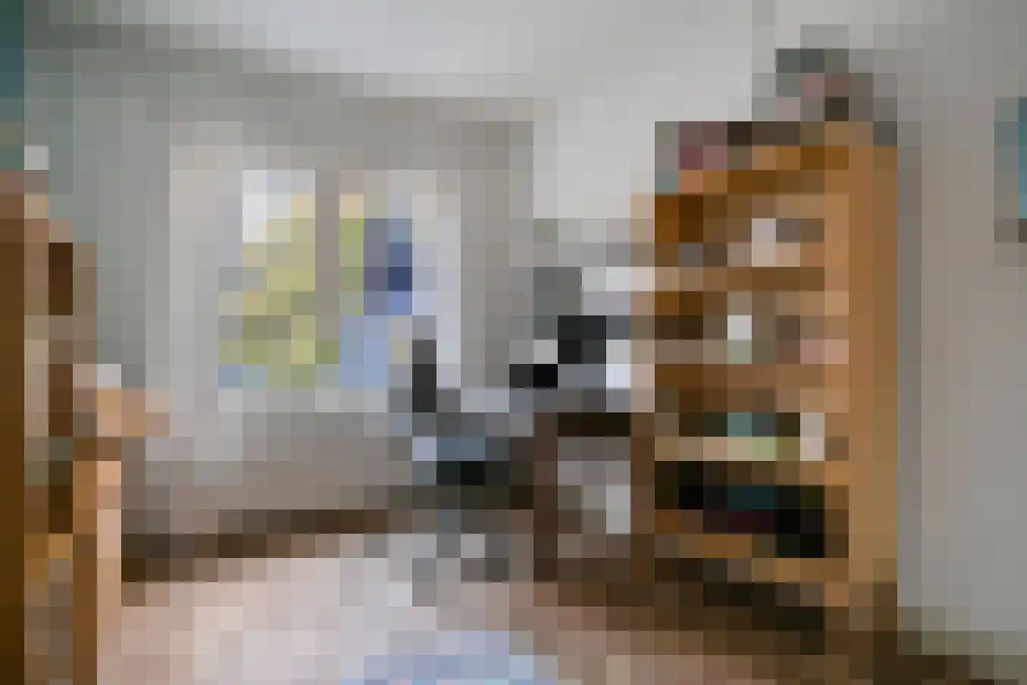 Willem van Millenberchstraat 18 Eindhoven thumbnail 21
