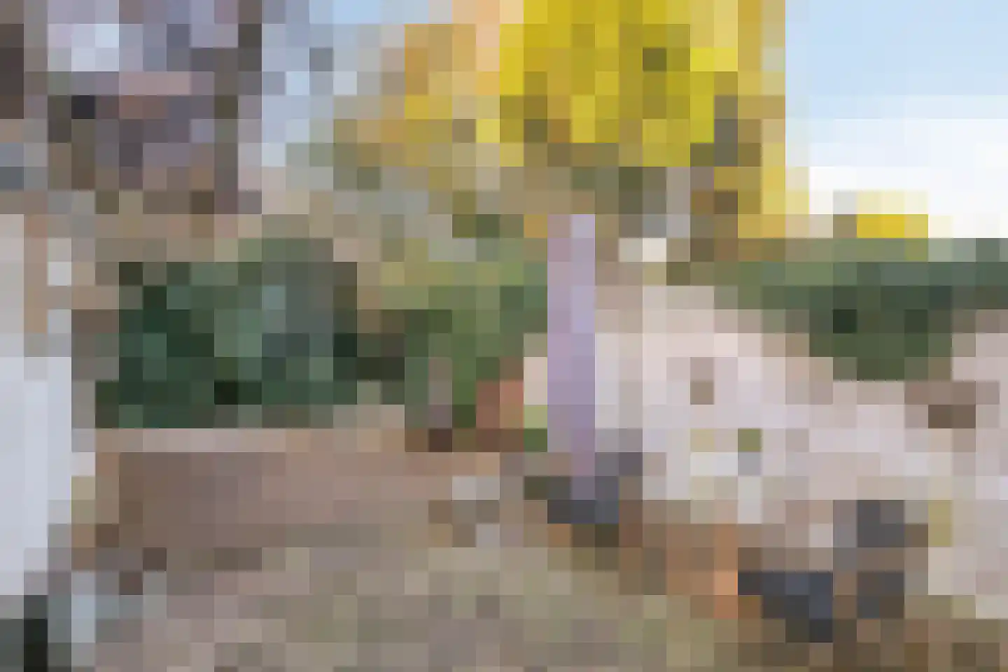Willem van Millenberchstraat 18 Eindhoven thumbnail 28