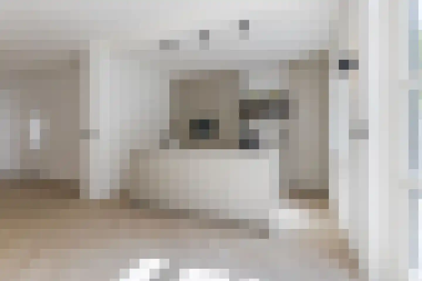 Willem van Millenberchstraat 23 Eindhoven thumbnail 17