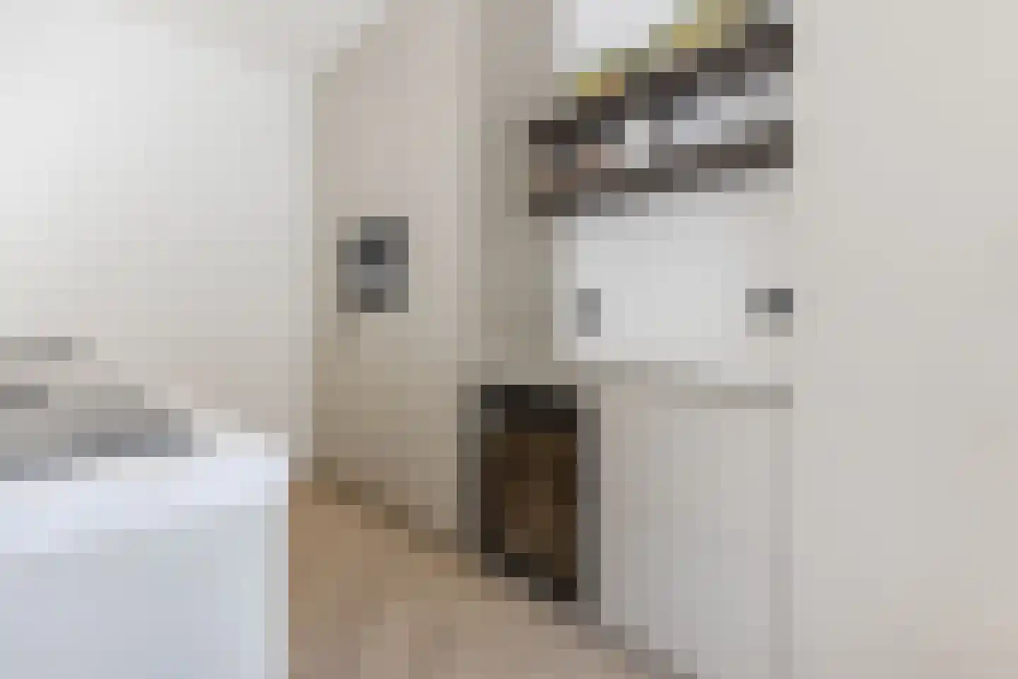 Willem van Millenberchstraat 23 Eindhoven thumbnail 19