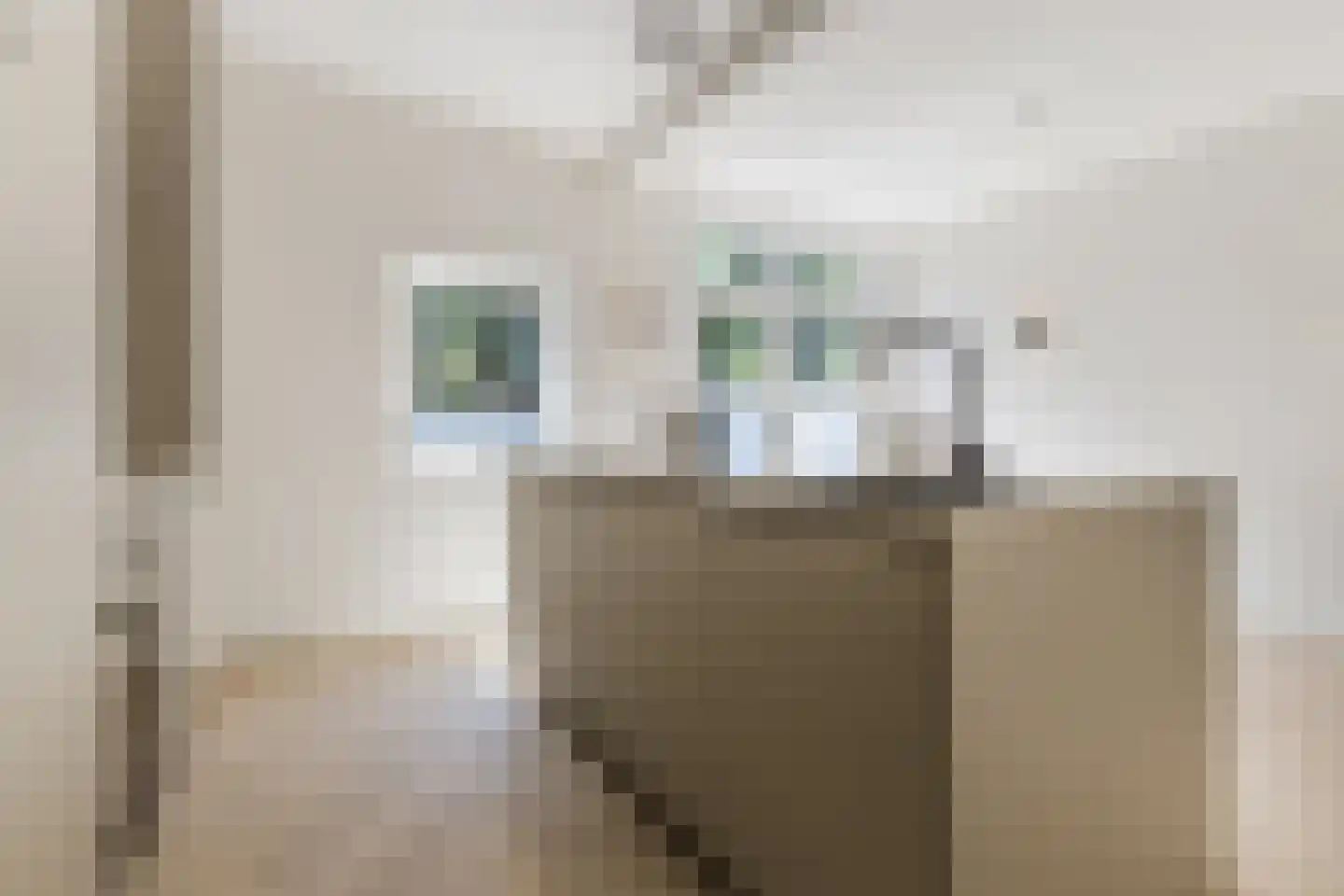 Willem van Millenberchstraat 23 Eindhoven thumbnail 21