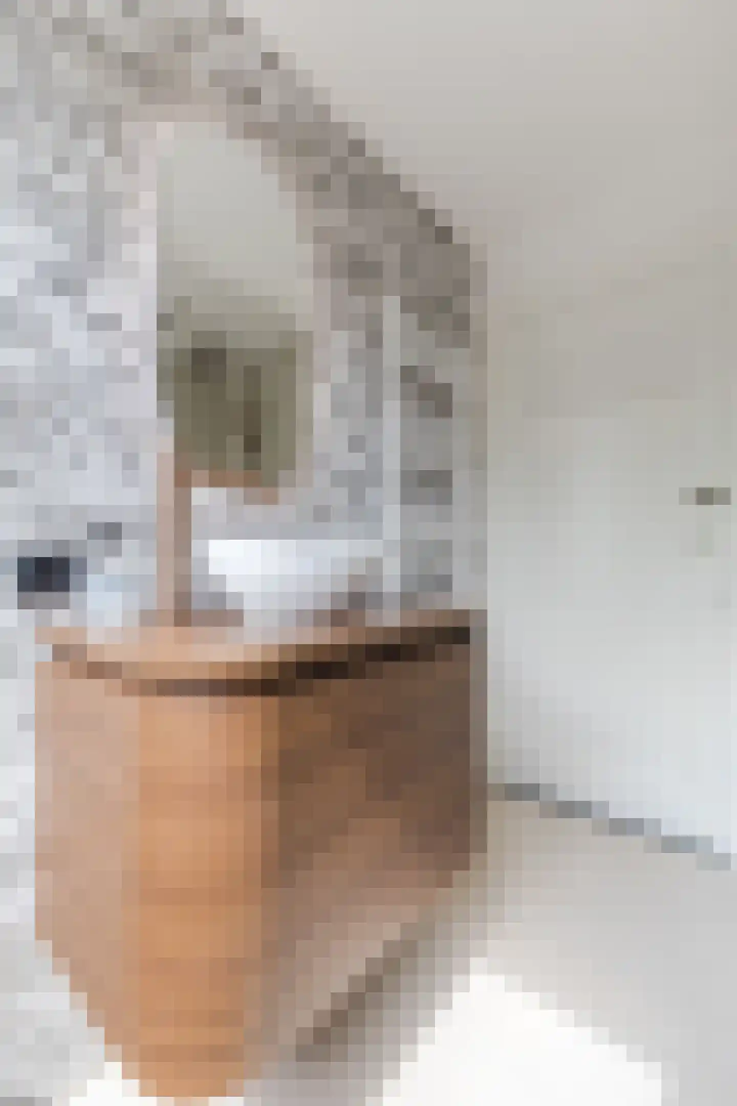 Willem van Millenberchstraat 23 Eindhoven thumbnail 33