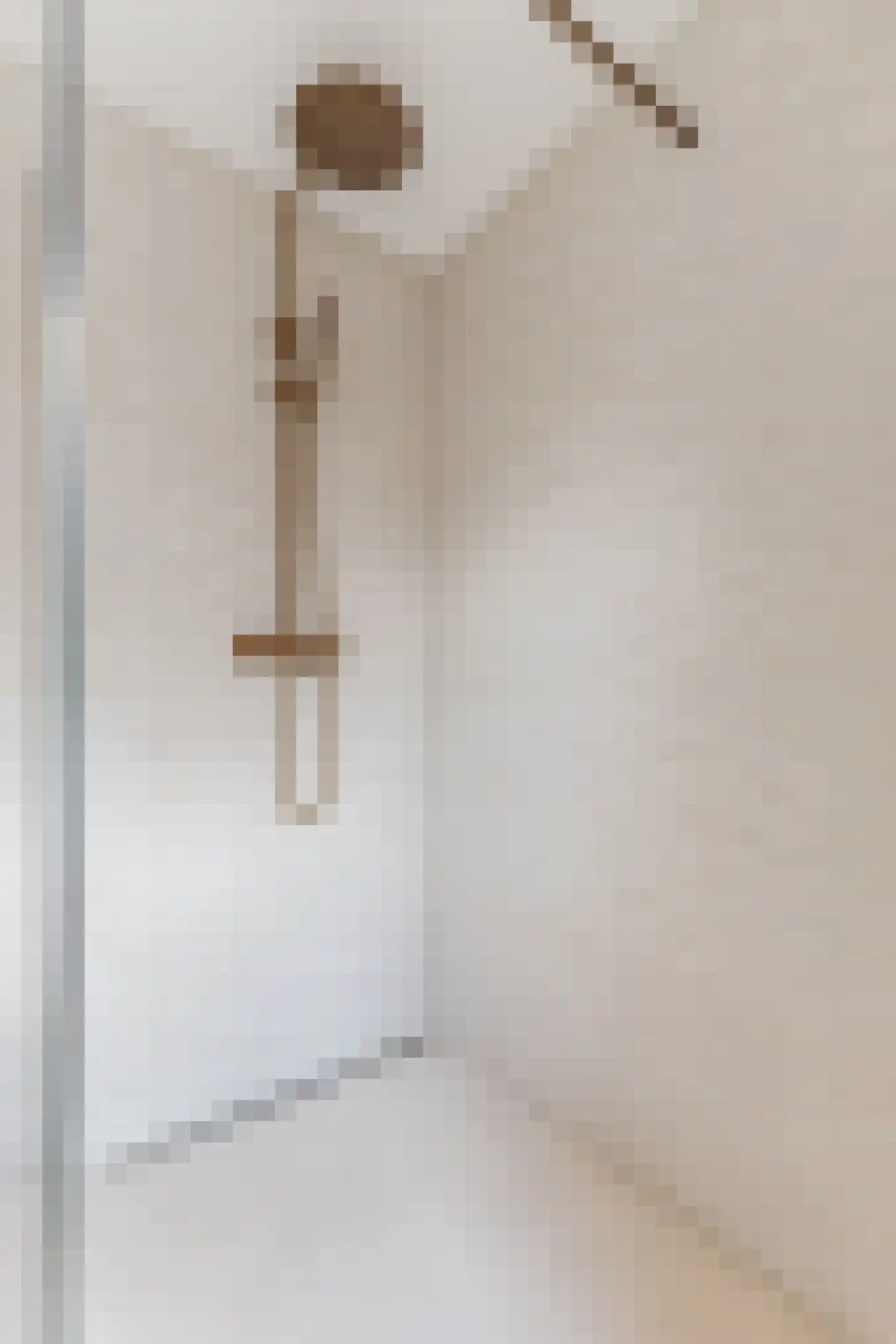 Willem van Millenberchstraat 23 Eindhoven thumbnail 34