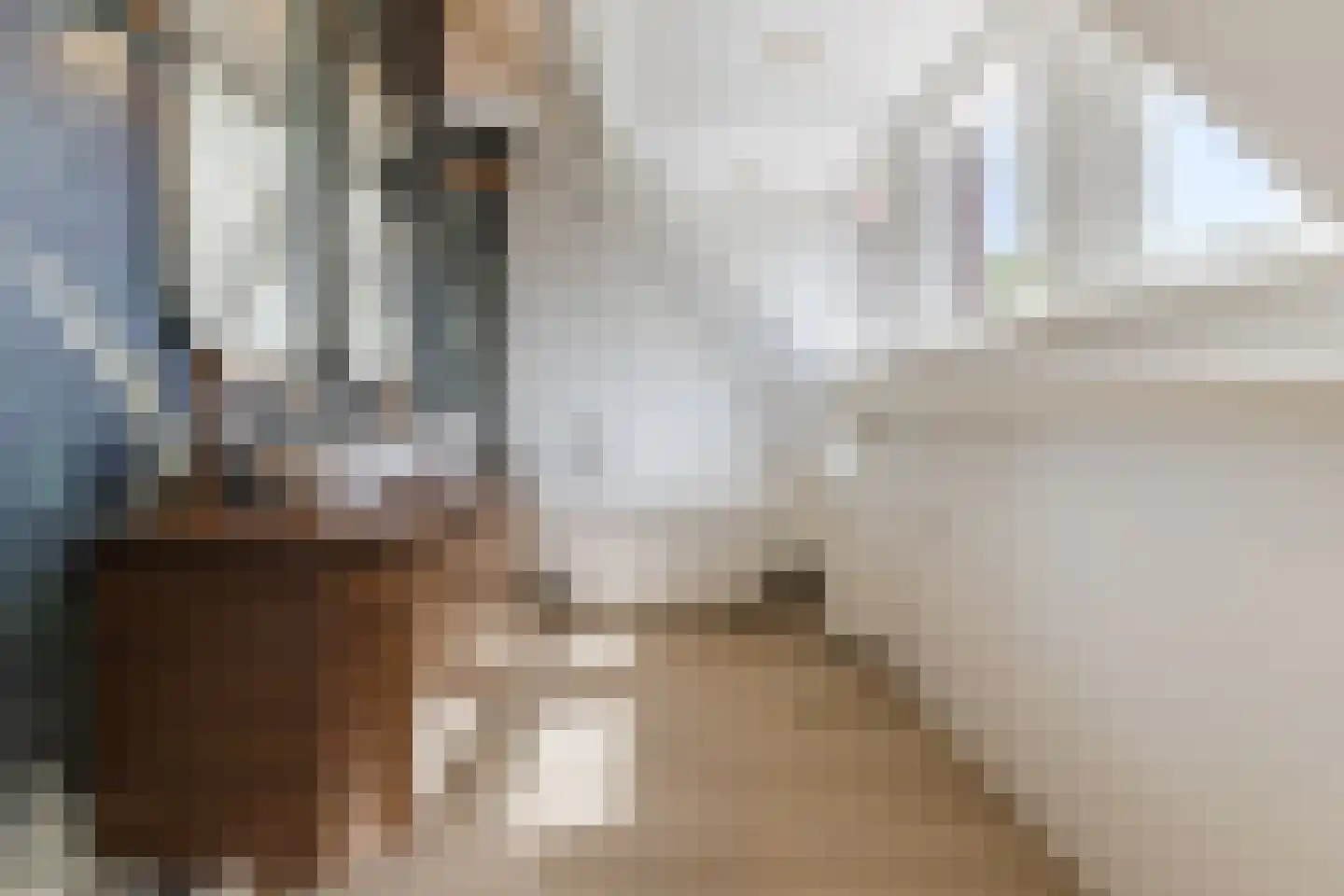 Willem van Millenberchstraat 23 Eindhoven thumbnail 45