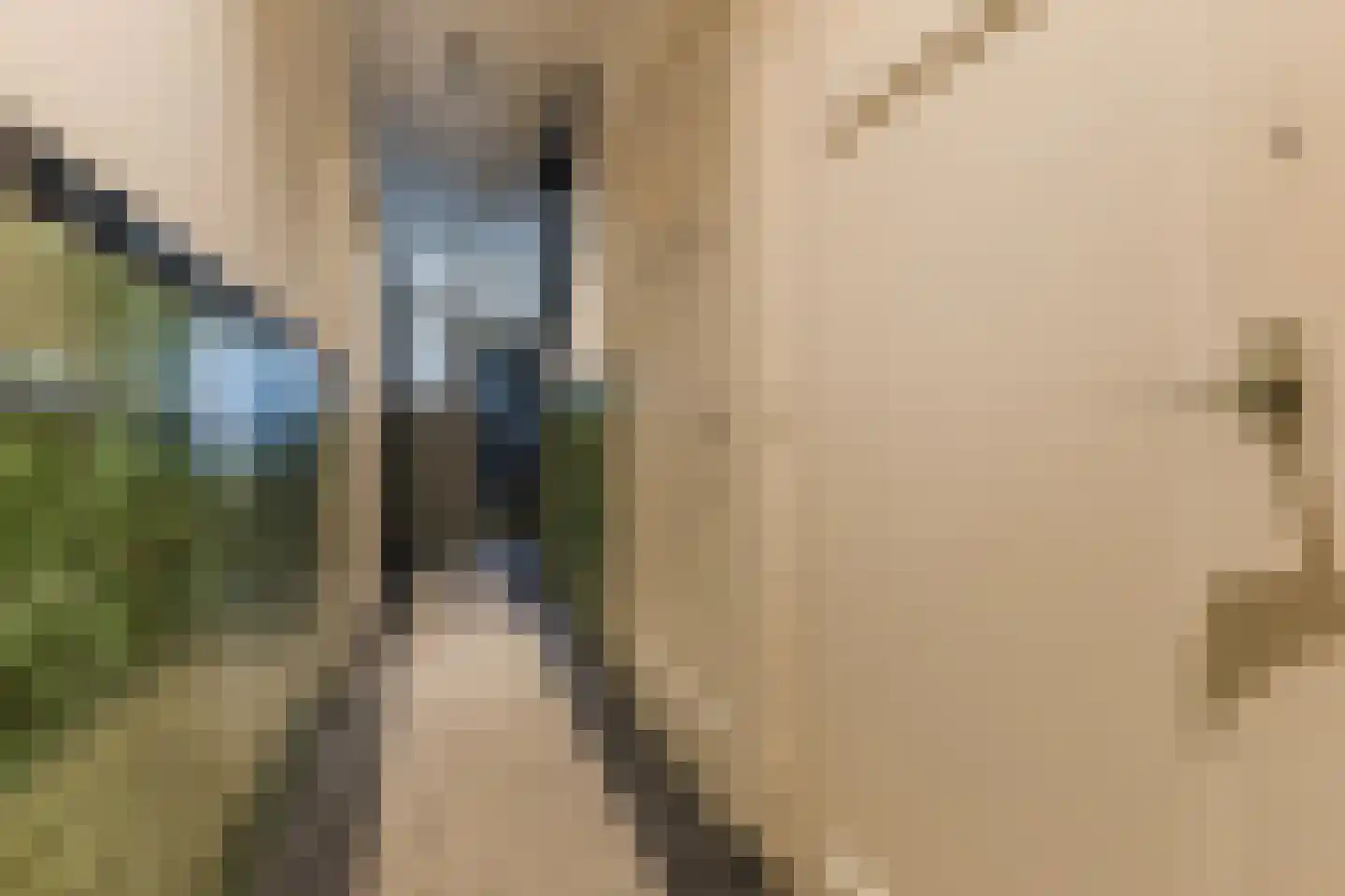Willem van Millenberchstraat 23 Eindhoven thumbnail 7