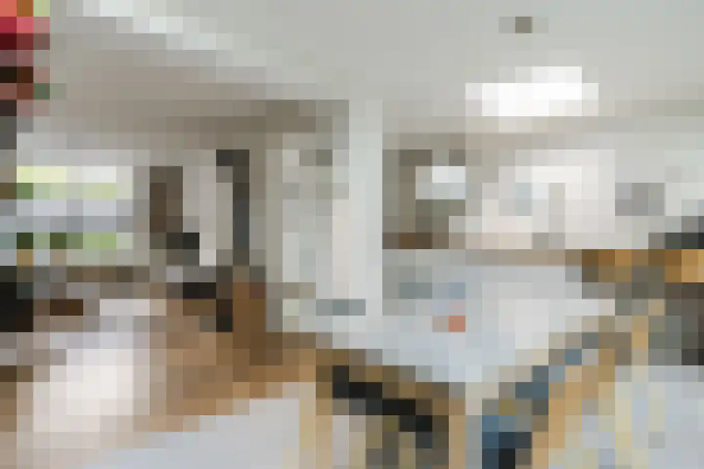 Willem van Millenberchstraat 9 Eindhoven thumbnail 11