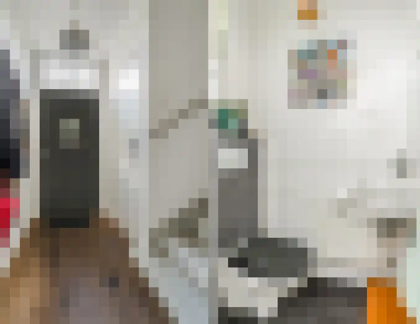 Willem van Millenberchstraat 9 Eindhoven thumbnail 17