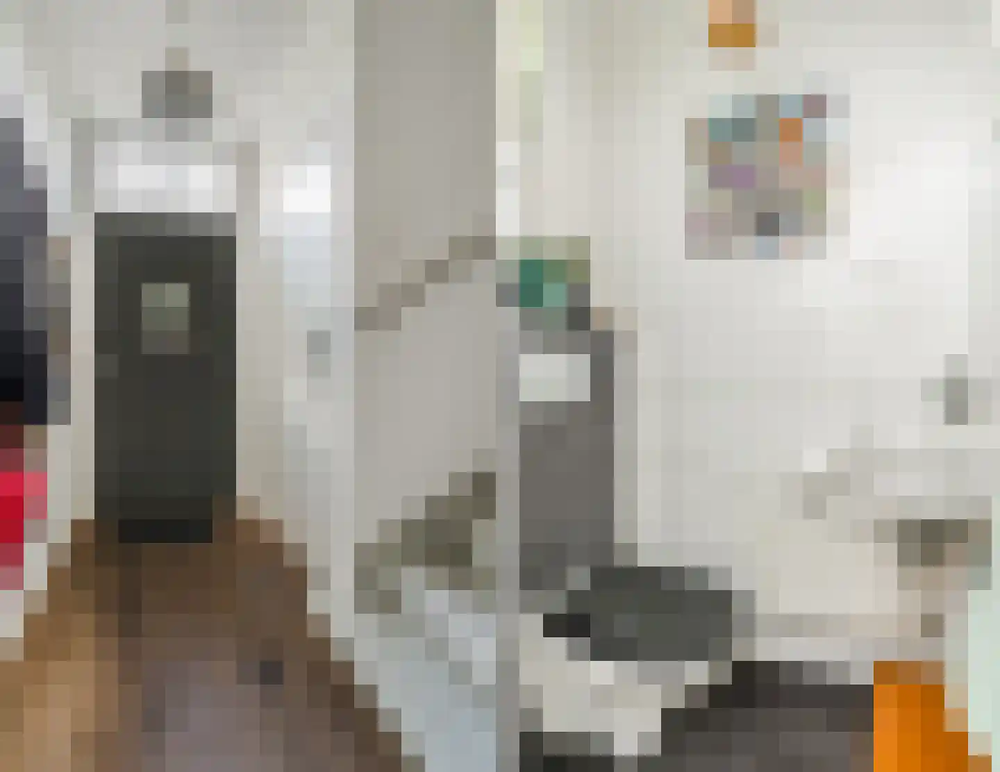 Willem van Millenberchstraat 9 Eindhoven thumbnail 17