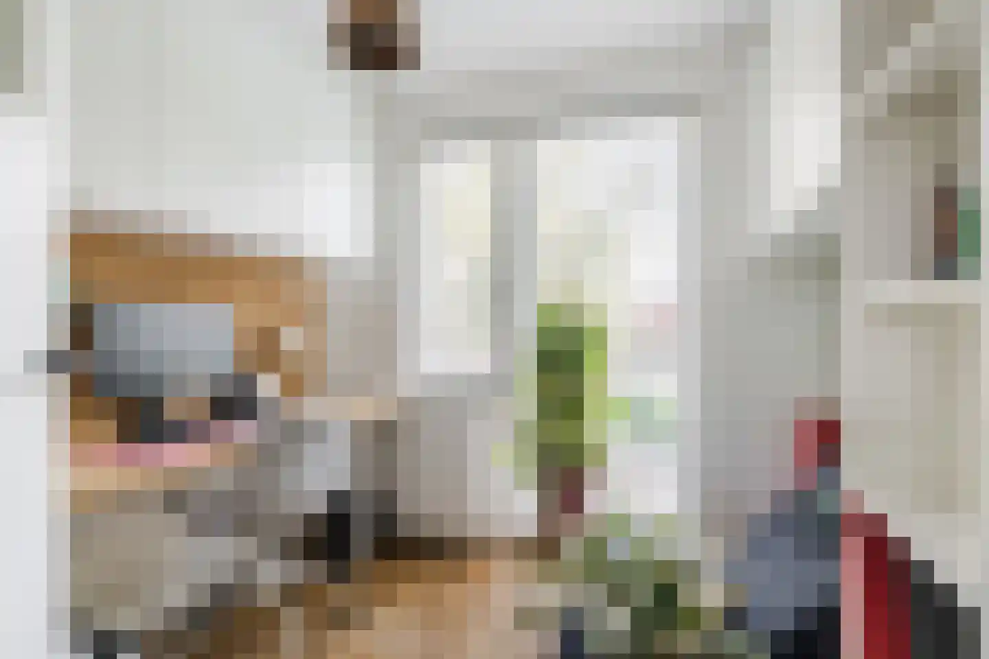 Willem van Millenberchstraat 9 Eindhoven thumbnail 28