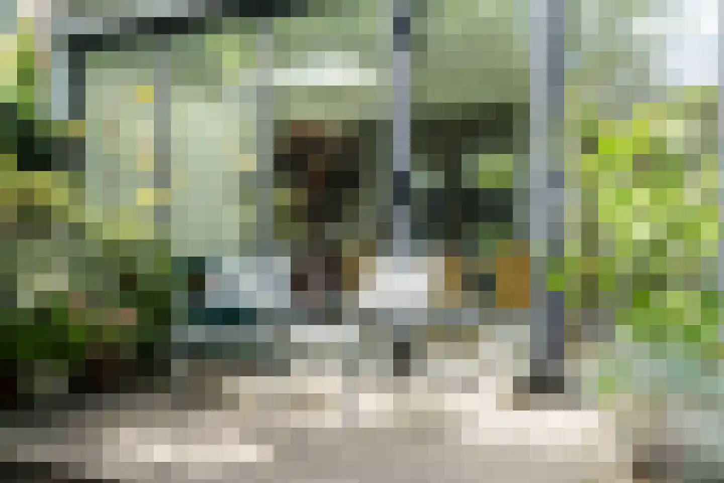 Willem van Millenberchstraat 9 Eindhoven thumbnail 30