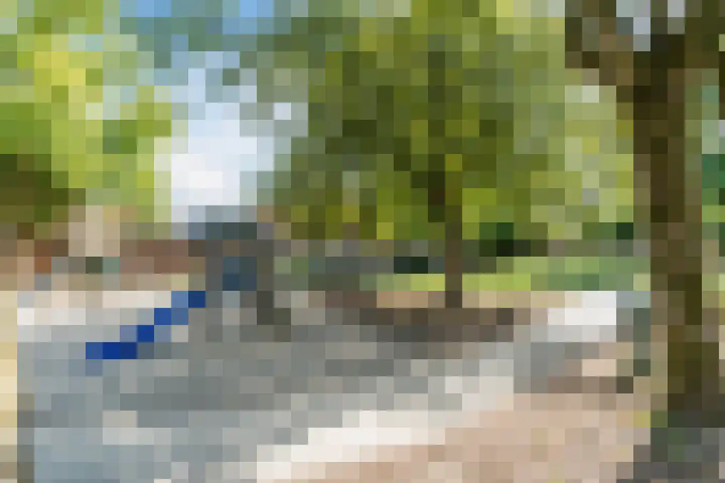 Willem van Millenberchstraat 9 Eindhoven thumbnail 33