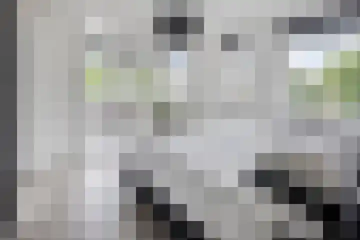 Willem van Nassaulaan 109 's-Hertogenbosch thumbnail 12