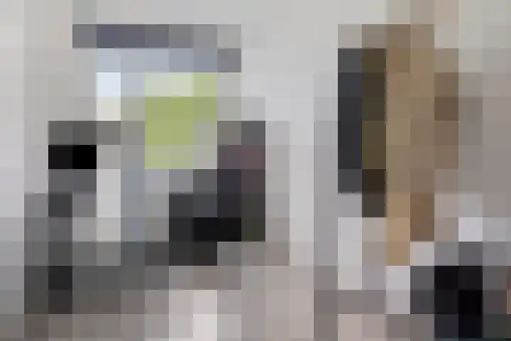 Willem van Nassaulaan 109 's-Hertogenbosch thumbnail 14