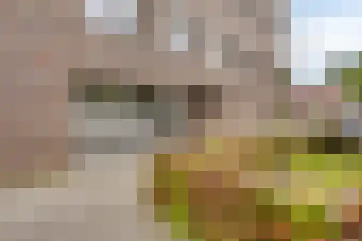 Willem van Nassaulaan 109 's-Hertogenbosch thumbnail 18