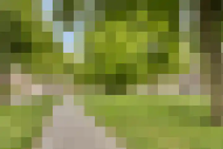 Willem van Nassaulaan 109 's-Hertogenbosch thumbnail 19