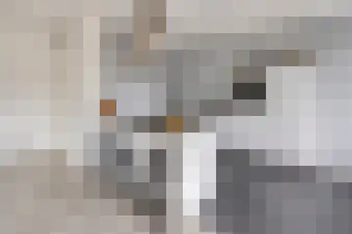 Willem van Nassaulaan 109 's-Hertogenbosch thumbnail 4
