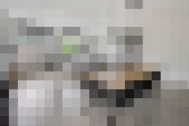 Willem van Nassaulaan 109 's-Hertogenbosch thumbnail 7