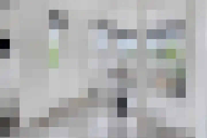 Willem van Nassaulaan 109 's-Hertogenbosch thumbnail 9