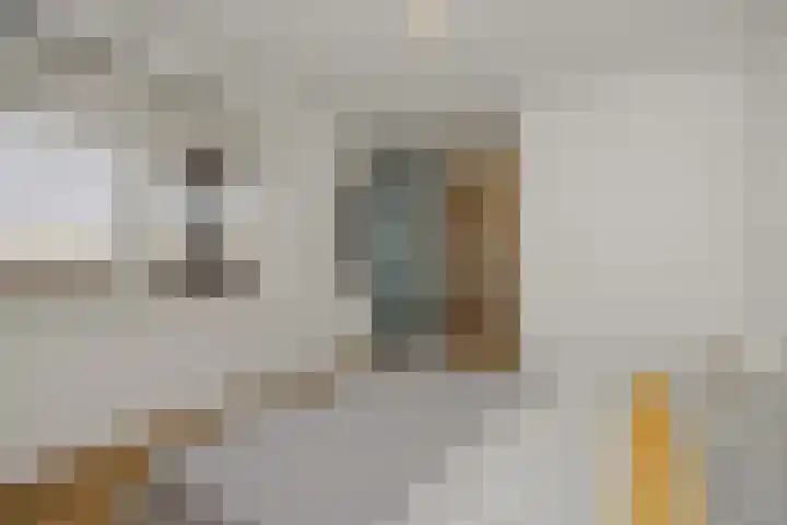 Willem van Nassaulaan 69 's-Hertogenbosch thumbnail 10