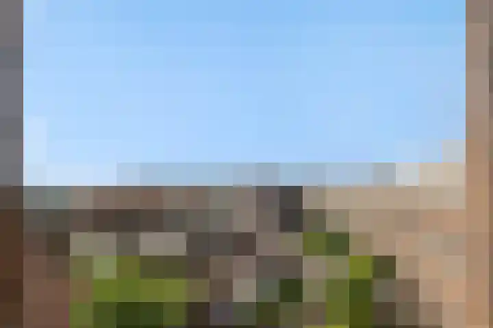 Willem van Nassaulaan 69 's-Hertogenbosch thumbnail 19