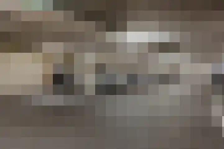 Willem van Nassaulaan 69 's-Hertogenbosch thumbnail 21