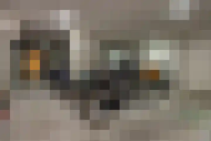 Willem van Nassaulaan 69 's-Hertogenbosch thumbnail 22