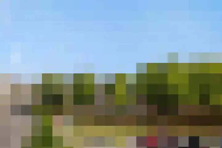 Willem van Nassaulaan 69 's-Hertogenbosch thumbnail 23