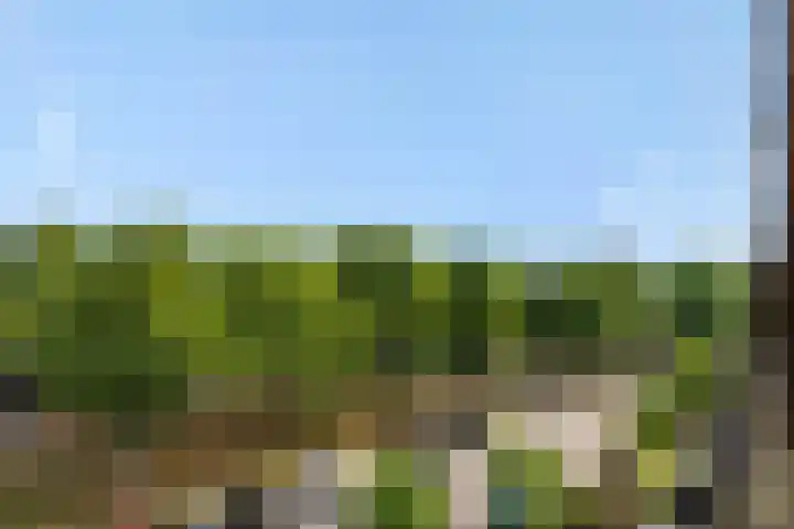 Willem van Nassaulaan 69 's-Hertogenbosch thumbnail 24