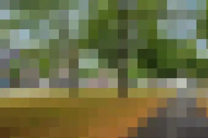 Willem van Nassaulaan 69 's-Hertogenbosch thumbnail 27