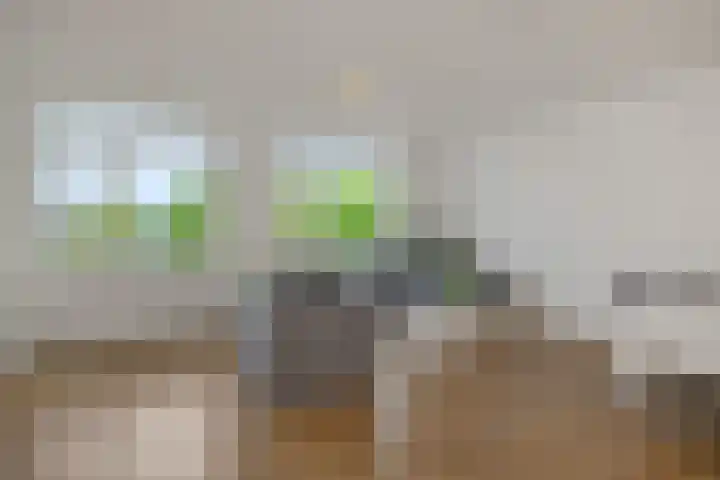 Willem van Nassaulaan 69 's-Hertogenbosch thumbnail 4