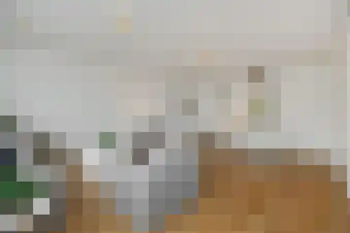 Willem van Nassaulaan 69 's-Hertogenbosch thumbnail 5