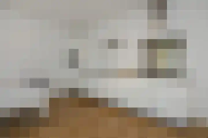 Willem van Nassaulaan 69 's-Hertogenbosch thumbnail 7
