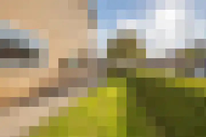 Willem van Nieuwenhovenstraat 13 Volendam thumbnail 29
