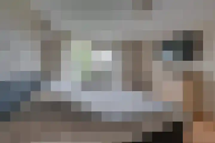 Willem van Nieuwenhovenstraat 13 Volendam thumbnail 35