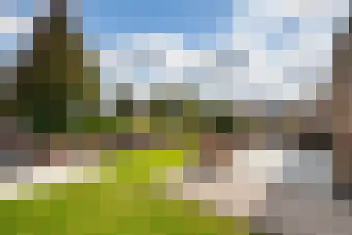 Willem van Nieuwenhovenstraat 13 Volendam thumbnail 4