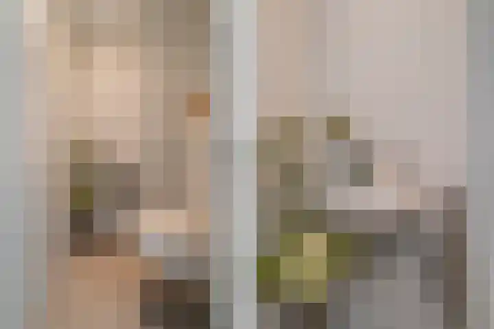 Willem van Nieuwenhuizenlaan 20 Den Haag thumbnail 10