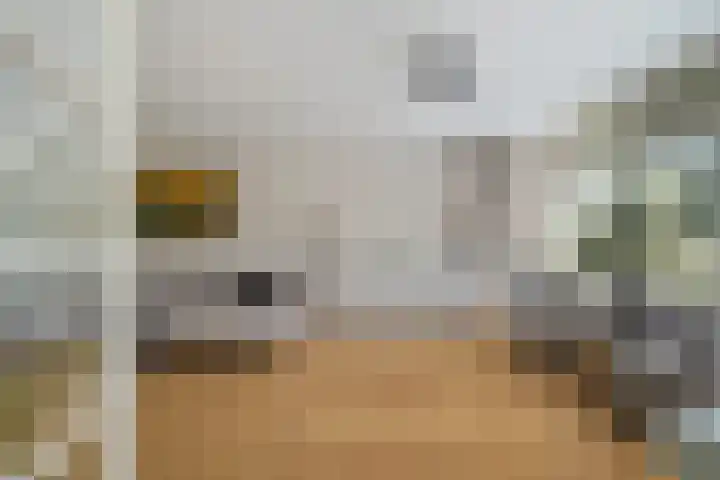 Willem van Nieuwenhuizenlaan 20 Den Haag thumbnail 12