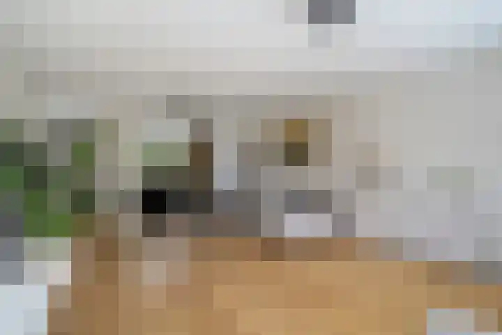 Willem van Nieuwenhuizenlaan 20 Den Haag thumbnail 13