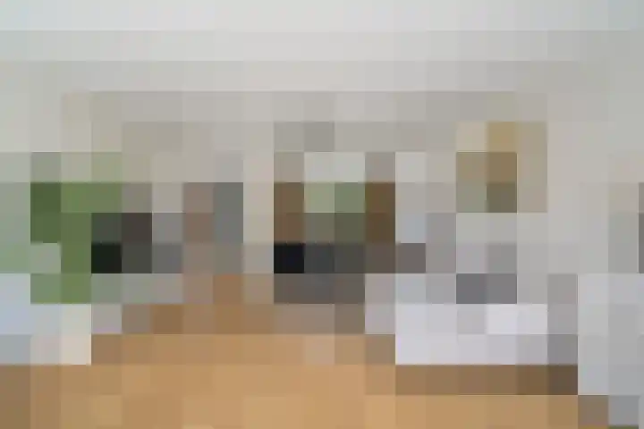 Willem van Nieuwenhuizenlaan 20 Den Haag thumbnail 14