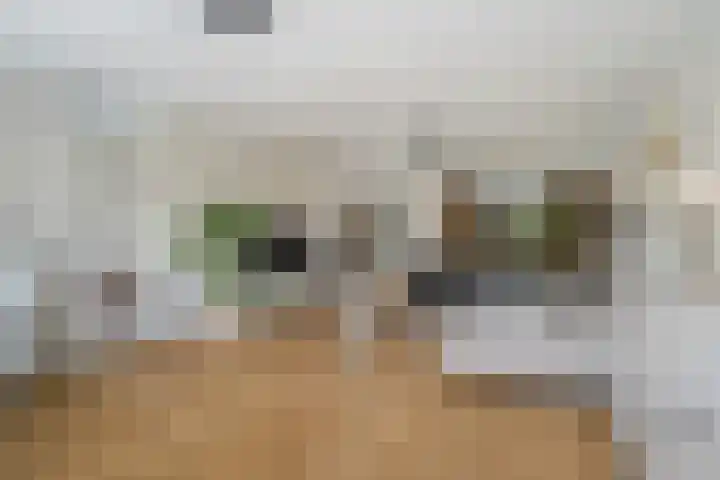 Willem van Nieuwenhuizenlaan 20 Den Haag thumbnail 15
