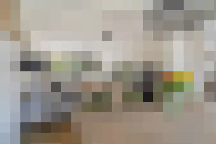 Willem van Nieuwenhuizenlaan 20 Den Haag thumbnail 16