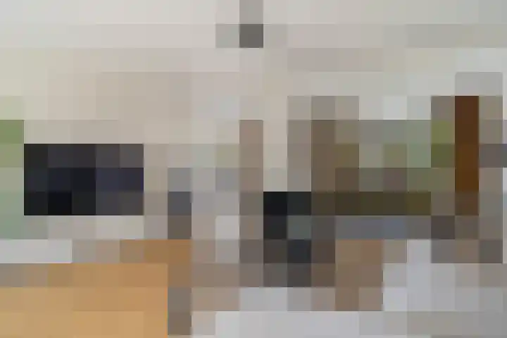 Willem van Nieuwenhuizenlaan 20 Den Haag thumbnail 18