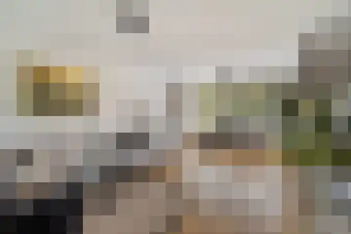 Willem van Nieuwenhuizenlaan 20 Den Haag thumbnail 19