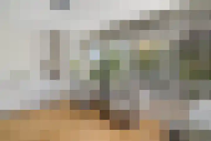 Willem van Nieuwenhuizenlaan 20 Den Haag thumbnail 20