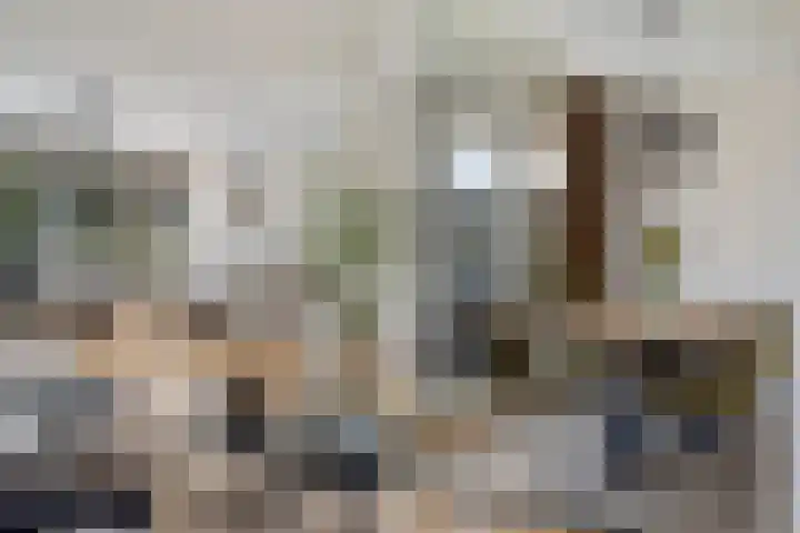 Willem van Nieuwenhuizenlaan 20 Den Haag thumbnail 21