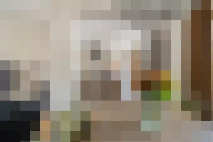 Willem van Nieuwenhuizenlaan 20 Den Haag thumbnail 22