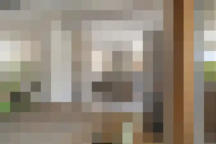 Willem van Nieuwenhuizenlaan 20 Den Haag thumbnail 23